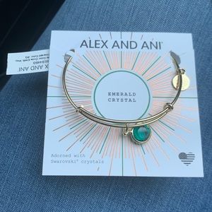 Brand new Alex and ani may charm bracelet
